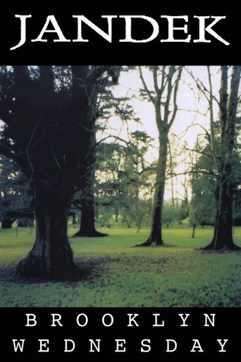 Movie poster for Jandek: Brooklyn Wednesday (2008)