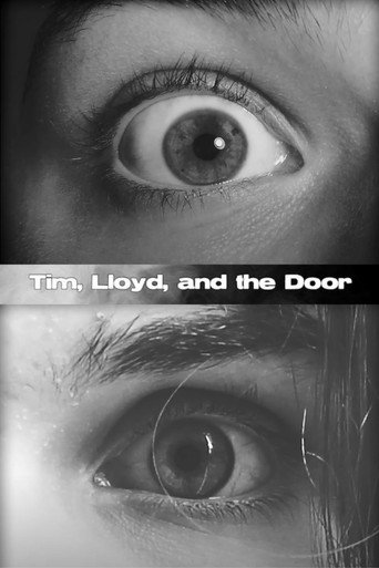 Movie poster for Tim, Lloyd, and the Door (2020)