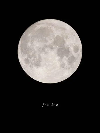 Movie poster for Fake (2025)