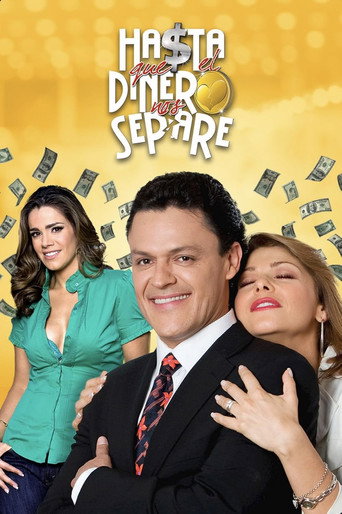 Series poster for Hasta que el dinero nos separe (2009)