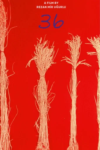 Movie poster for 36 (2024)