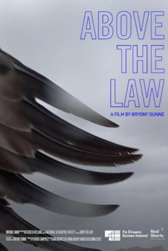 Movie poster for Above the Law (2020)
