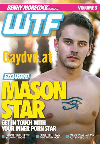 Movie poster for WTF 3: Mason Star (2012)