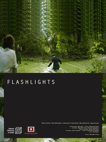 Movie poster for Flashlights (2021)