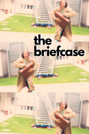 Movie poster for The Briefcase (2019)
