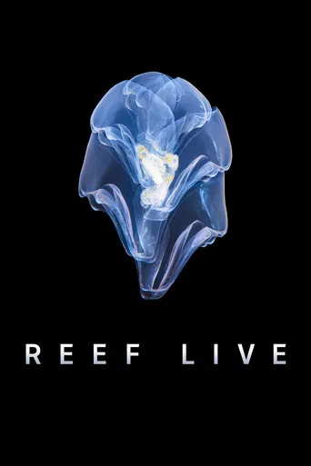 Reef Live poster