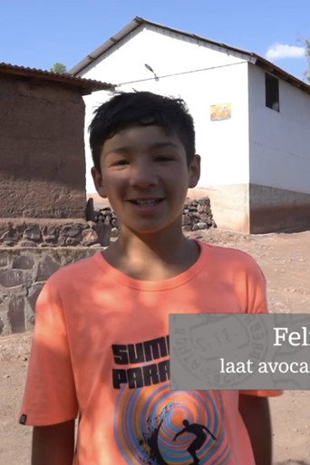 Movie poster for Felipe, de avocado's in Chili en klimaatverandering (2023)