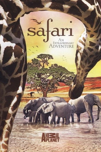 The Last Lion of Liuwa poster