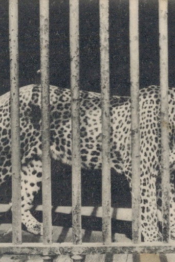 Movie poster for Zoo (1992)
