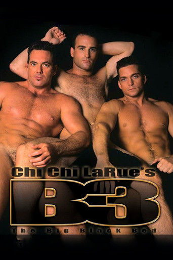 Movie poster for The Big Black Bed (1996)