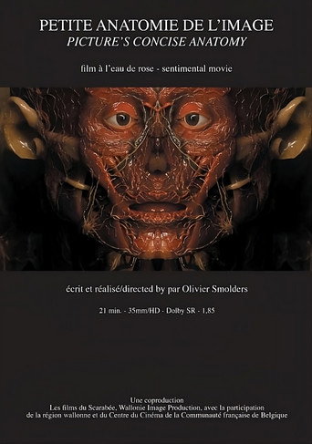 Movie poster for Petite anatomie de l'image (2010)