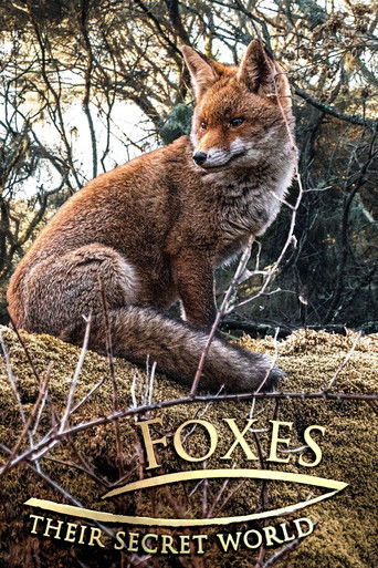 Foxes: Their Secret World poster