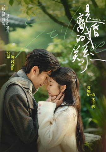 Series poster for 是离婚的关系 (2026)