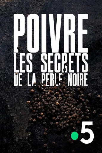 Movie poster for Poivre, les secrets de la perle noire (2020)