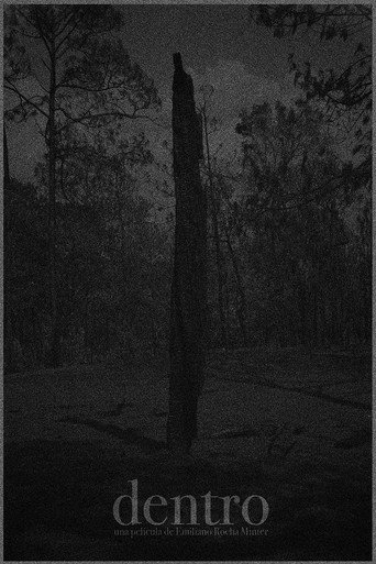 Movie poster for Inside (2013)