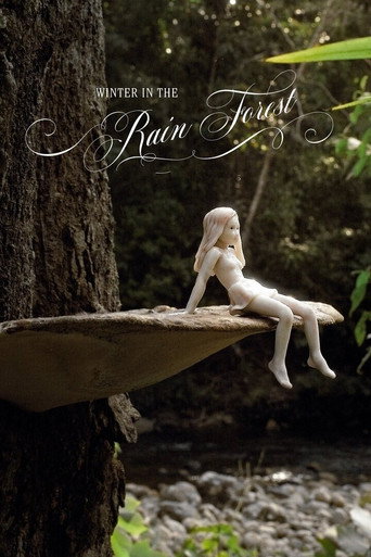 Movie poster for Winter In The Rainforest (2019)