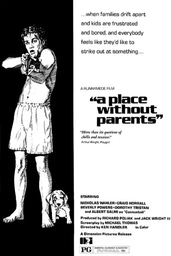 Movie poster for A Place Without Parents (1974)