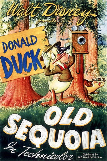 Movie poster for Old Sequoia (1945)