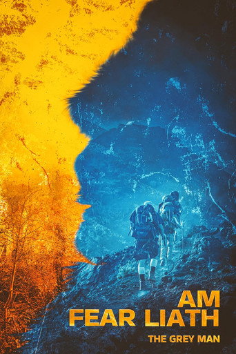Movie poster for Am Fear Liath (2024)