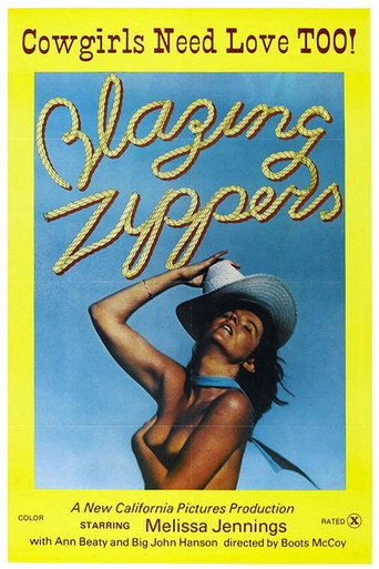 Movie poster for Blazing Zippers (1976)