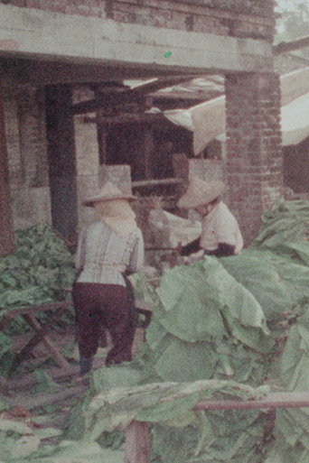 Movie poster for Meinung, A Town Cherishing Tradition (1981)