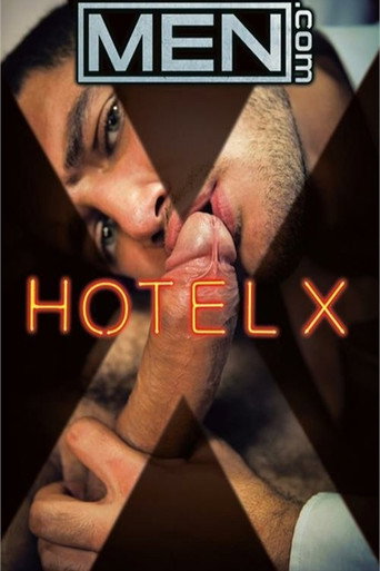 Movie poster for Hotel X (2014)
