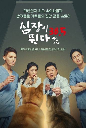 심장이 뛴다 38.5 poster