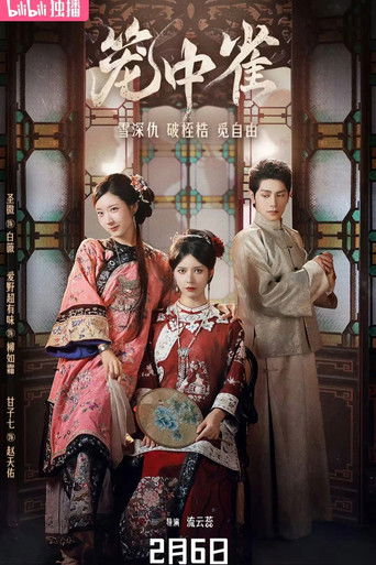 The Canary in the Cage poster