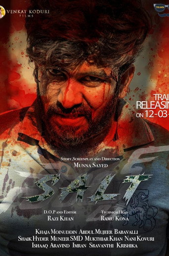 Movie poster for Salt (2021)