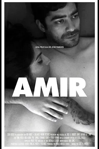 Movie poster for Amir (2016)