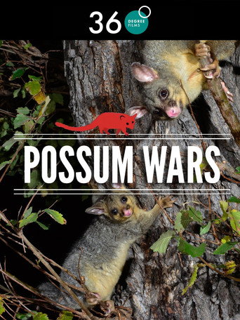Movie poster for Possum Wars (2013)