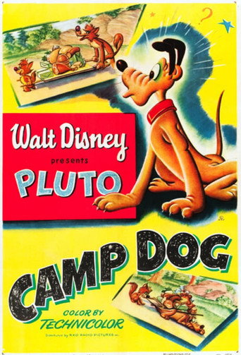 Movie poster for Camp Dog (1950)