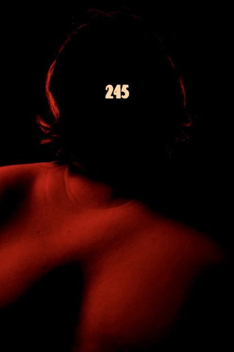 Movie poster for 245 (2020)