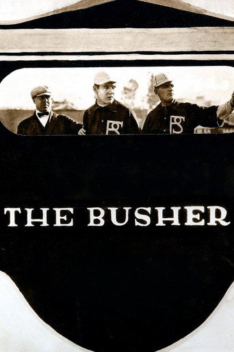 Movie poster for The Busher (1919)