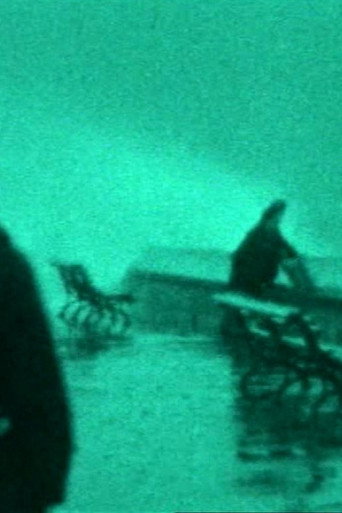 Movie poster for The Maelstrom: A Family Chronicle (1997)