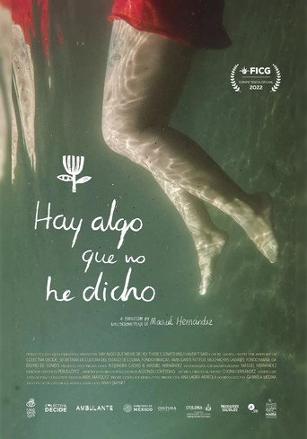 Movie poster for Hay algo que no he dicho (2021)