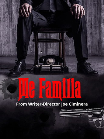 Movie poster for Me Familia (2017)