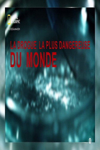 Movie poster for Worlds Most Dangerous Drug (2006)