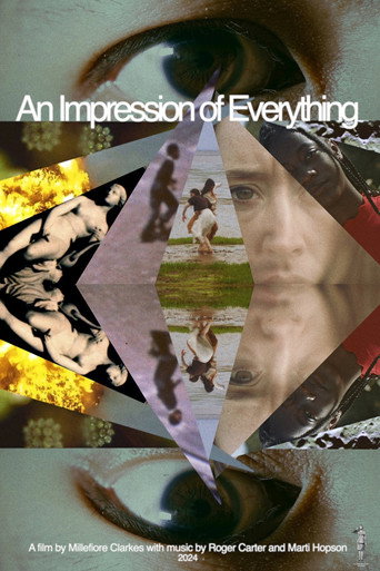Movie poster for An Impression of Everything