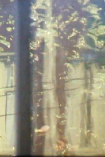 Movie poster for Windchimes, Window, Tree (1976)