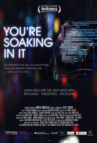 Movie poster for You're Soaking in It (2017)