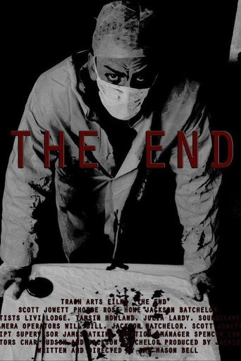 Movie poster for The End (2016)