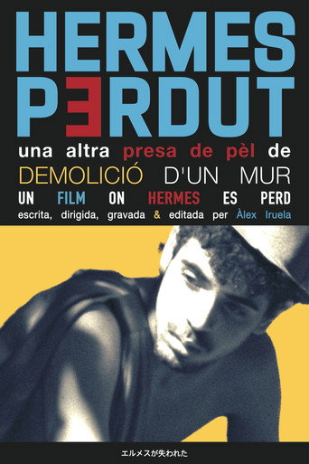 Movie poster for Hermes Perdut