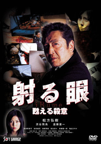 Movie poster for The Piercing Gaze 2: The Resurgent Murderous Intent (2006)