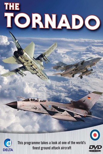 Movie poster for The Panavia Tornado (2010)