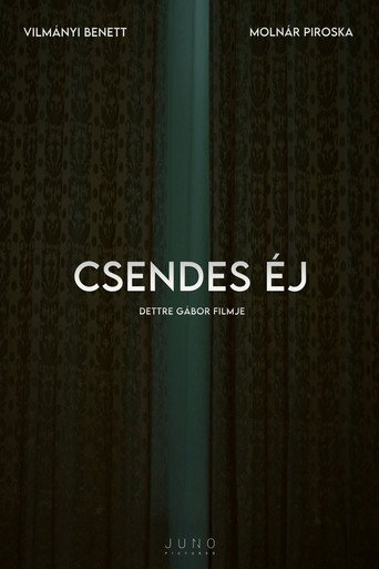 Csendes éj poster