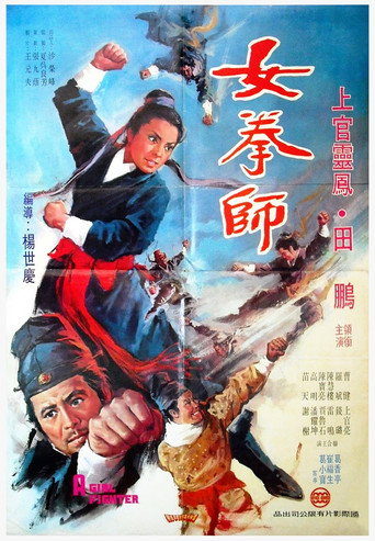 Movie poster for A Girl Fighter (1972)