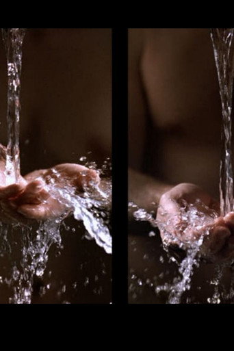 Movie poster for Ablutions (2005)