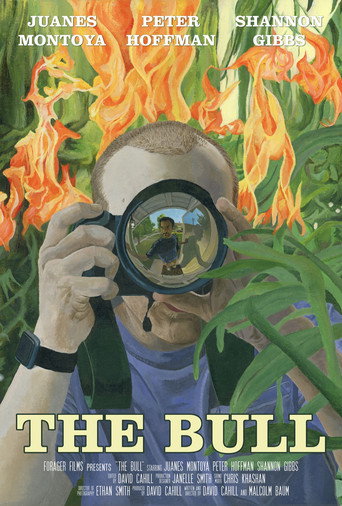 Movie poster for The Bull