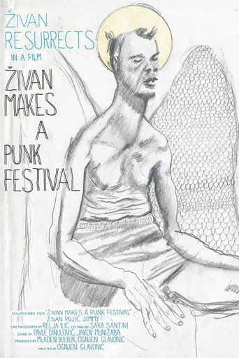 Movie poster for Zivan Makes a Punk Festival (2014)